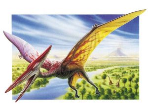 A Pterodactyl