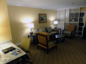 Living Area/Sleep Sofa