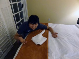 Carl the Manta Towel