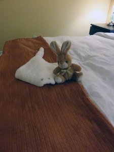 Oatmeal's new friend