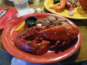 Lobster