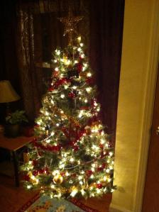 Will & Lindsay's Christmas Tree
