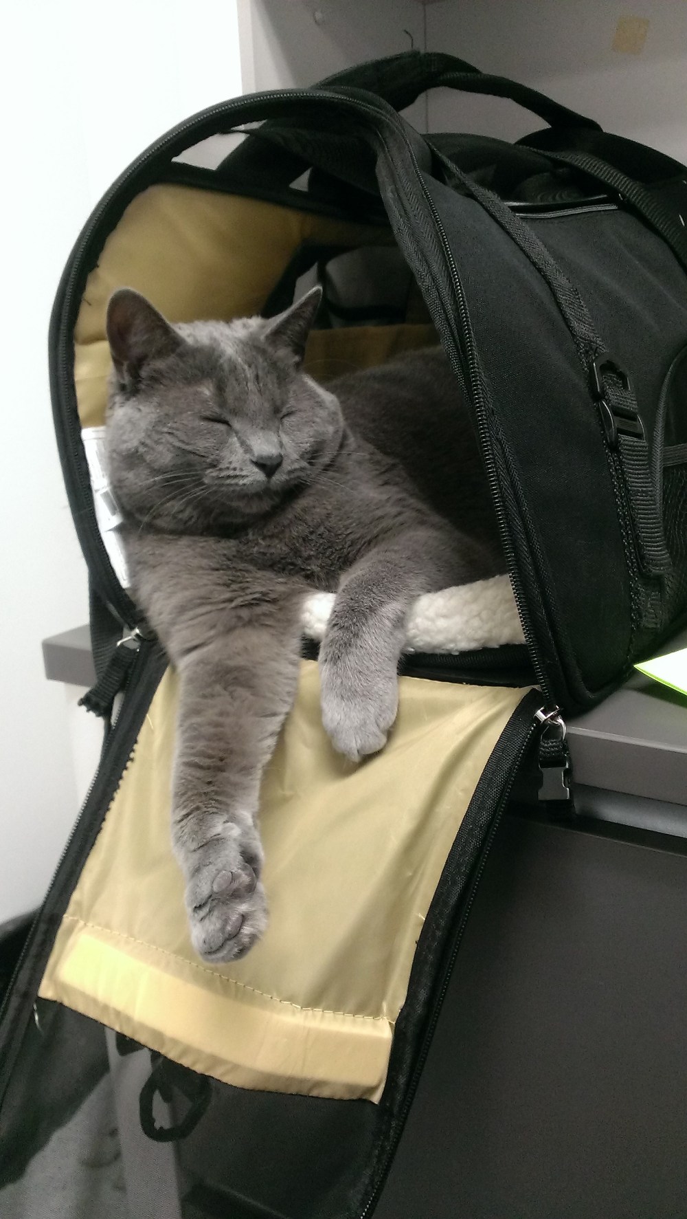 Just hanging out on Monday