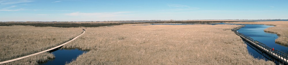 Heidellberg_PointPelee_20170725_018