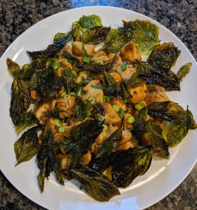 Maker:S,Date:2017-8-22,Ver:6,Lens:Kan03,Act:Lar02,E-Y