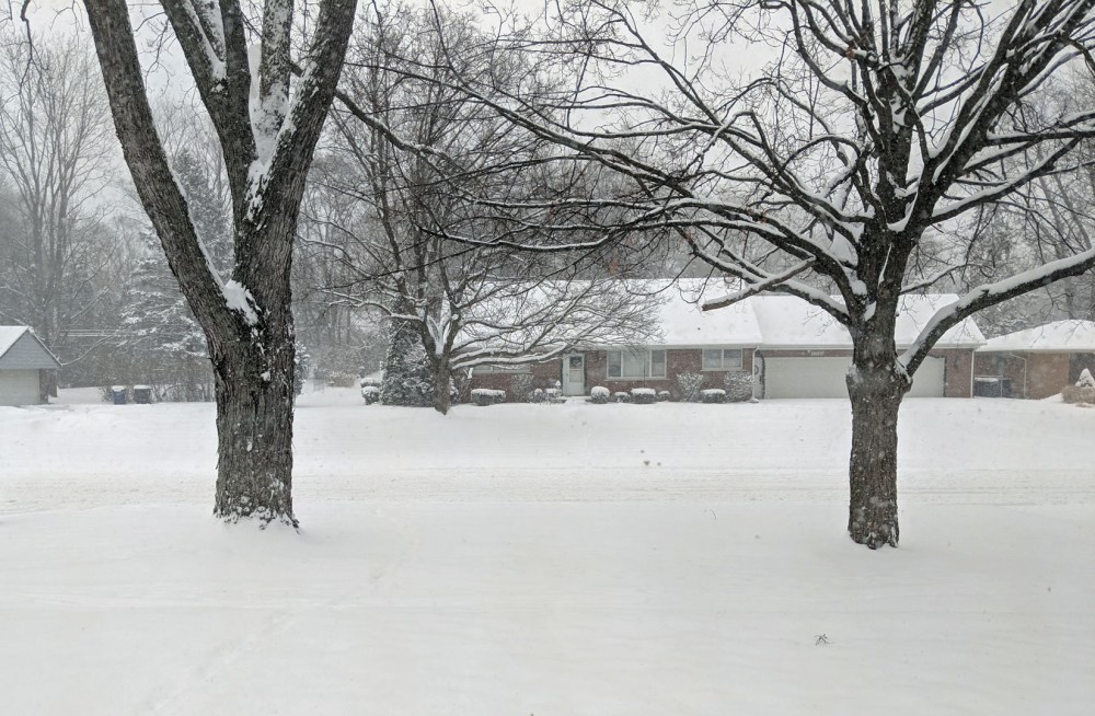 rainbownoodles_20190122_008